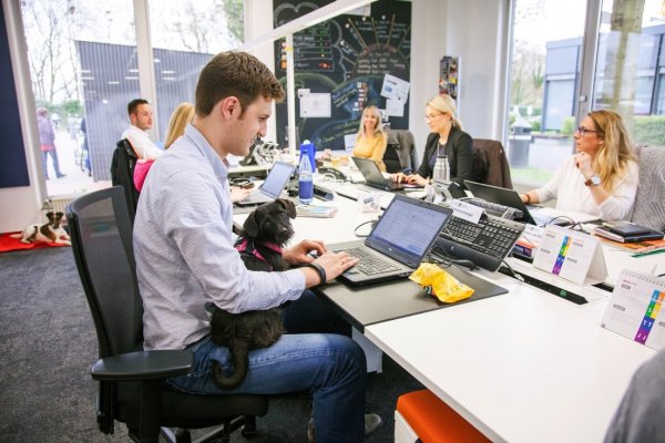 İnsanlar (ve yavru köpekler!) Mars’ta beş prensibe göre yaşıyorlar.