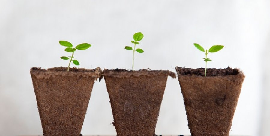 Kurum Kulturu Gelisirse2